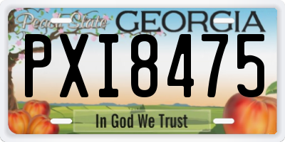 GA license plate PXI8475