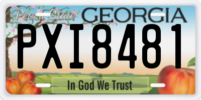 GA license plate PXI8481