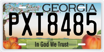 GA license plate PXI8485