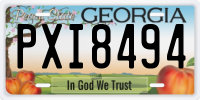 GA license plate PXI8494