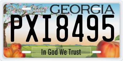 GA license plate PXI8495
