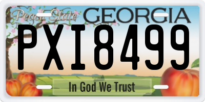 GA license plate PXI8499