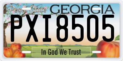 GA license plate PXI8505