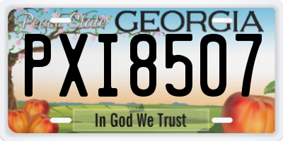 GA license plate PXI8507