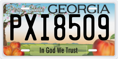 GA license plate PXI8509