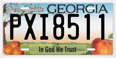 GA license plate PXI8511