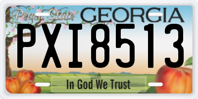 GA license plate PXI8513