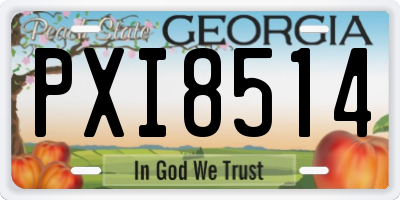 GA license plate PXI8514