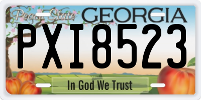 GA license plate PXI8523