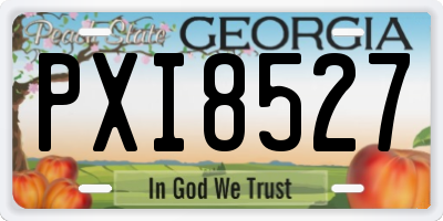 GA license plate PXI8527