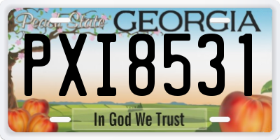 GA license plate PXI8531