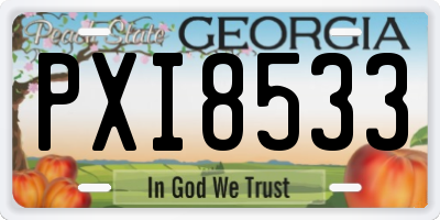 GA license plate PXI8533
