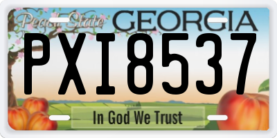 GA license plate PXI8537