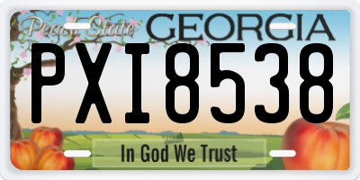 GA license plate PXI8538