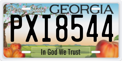 GA license plate PXI8544