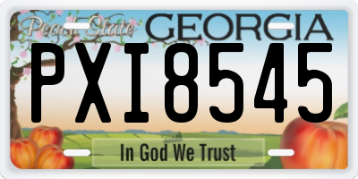 GA license plate PXI8545