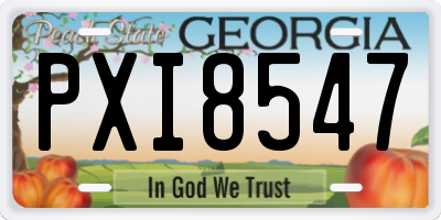 GA license plate PXI8547