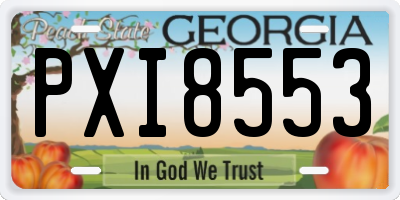 GA license plate PXI8553