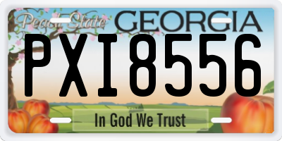 GA license plate PXI8556