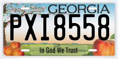 GA license plate PXI8558