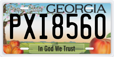 GA license plate PXI8560