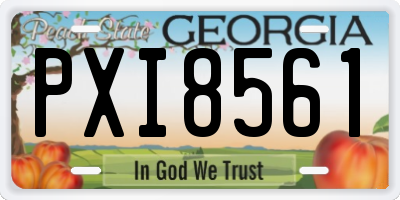 GA license plate PXI8561