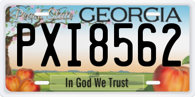 GA license plate PXI8562