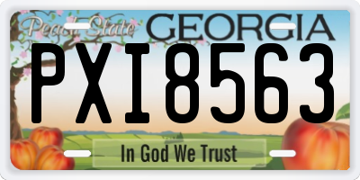 GA license plate PXI8563