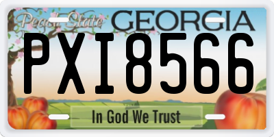 GA license plate PXI8566