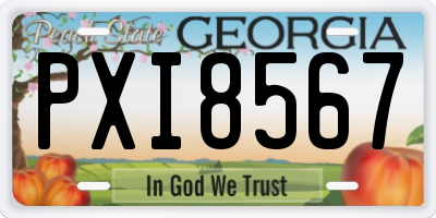 GA license plate PXI8567