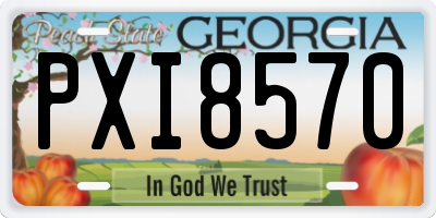 GA license plate PXI8570