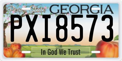 GA license plate PXI8573
