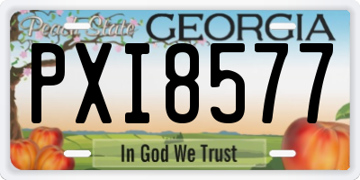 GA license plate PXI8577