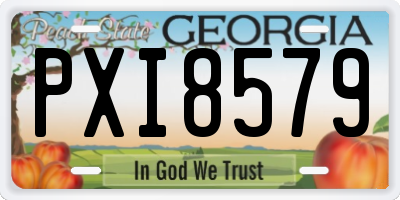 GA license plate PXI8579