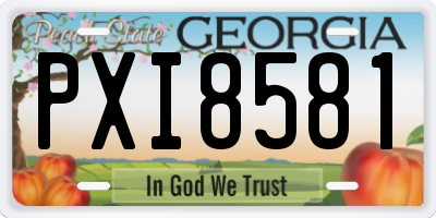 GA license plate PXI8581