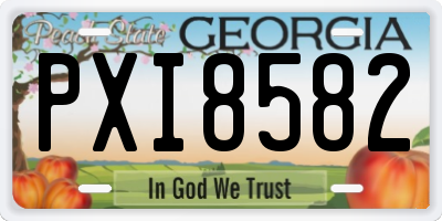 GA license plate PXI8582