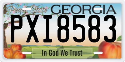 GA license plate PXI8583