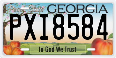 GA license plate PXI8584