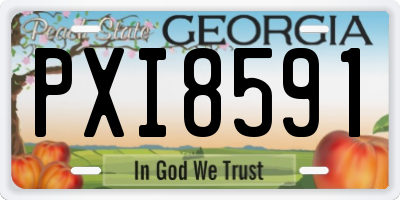 GA license plate PXI8591