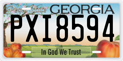 GA license plate PXI8594
