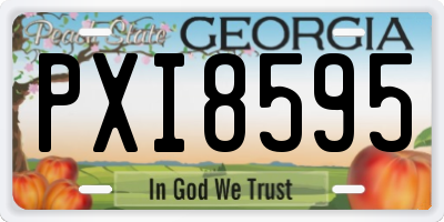 GA license plate PXI8595