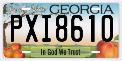 GA license plate PXI8610