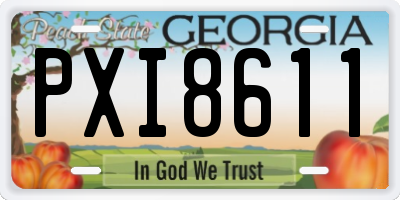 GA license plate PXI8611