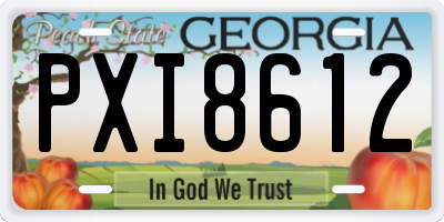 GA license plate PXI8612