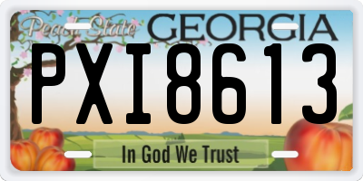 GA license plate PXI8613