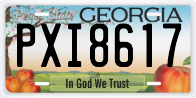 GA license plate PXI8617