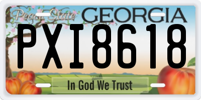 GA license plate PXI8618