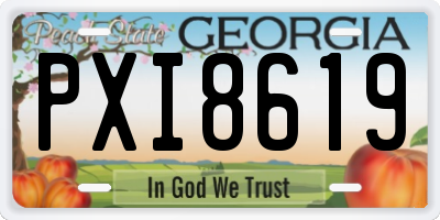 GA license plate PXI8619