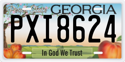 GA license plate PXI8624