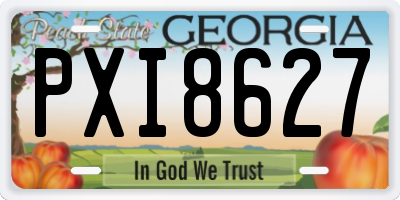GA license plate PXI8627